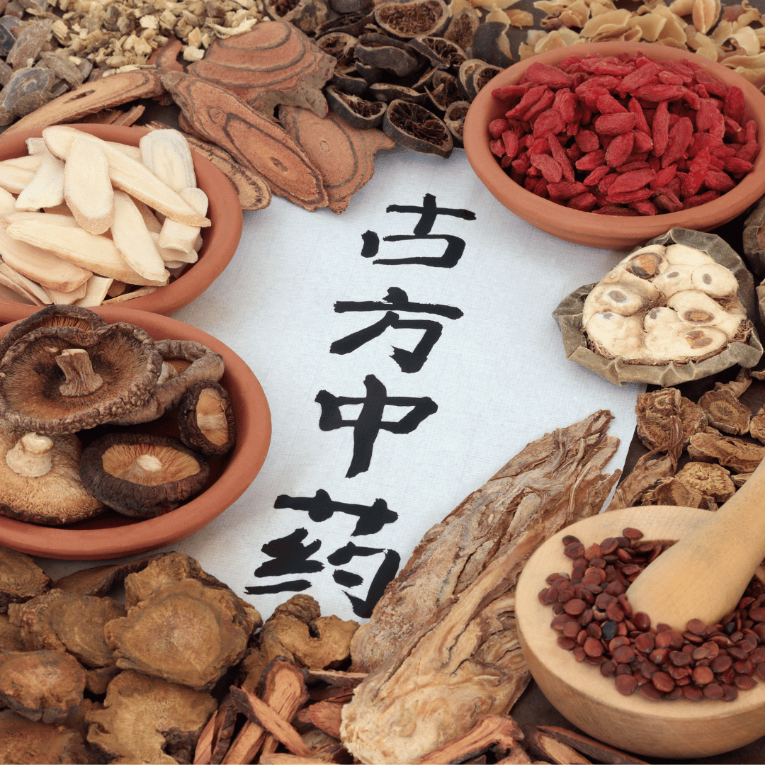 Medicina Tradicional Chinesa: O Poder dos Cogumelos Funcionais